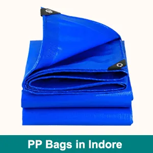PP Bags in indore
